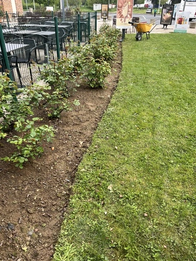 Entretien écologique d'un jardin à Amiens
