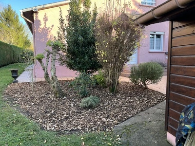 Massif fleuri à Amiens avant et après plantation