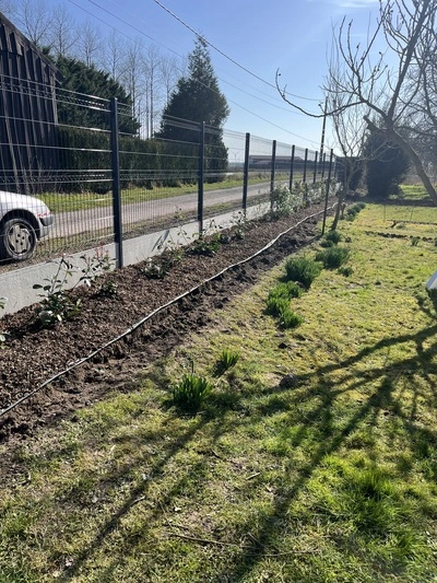 Détail d'un massif de vivaces à Amiens