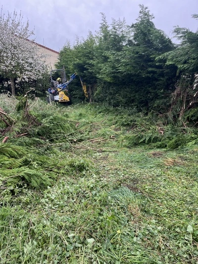 Rénovation d'un jardin abandonné à Amiens