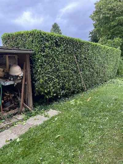 Taille de haie à Amiens